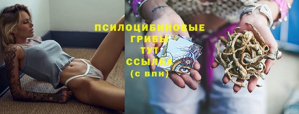 2c-b Армянск